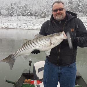 Meet your Posher, Frankandmichelle